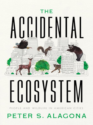 cover image of The Accidental Ecosystem